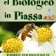 El Biologico in Piassa 2018